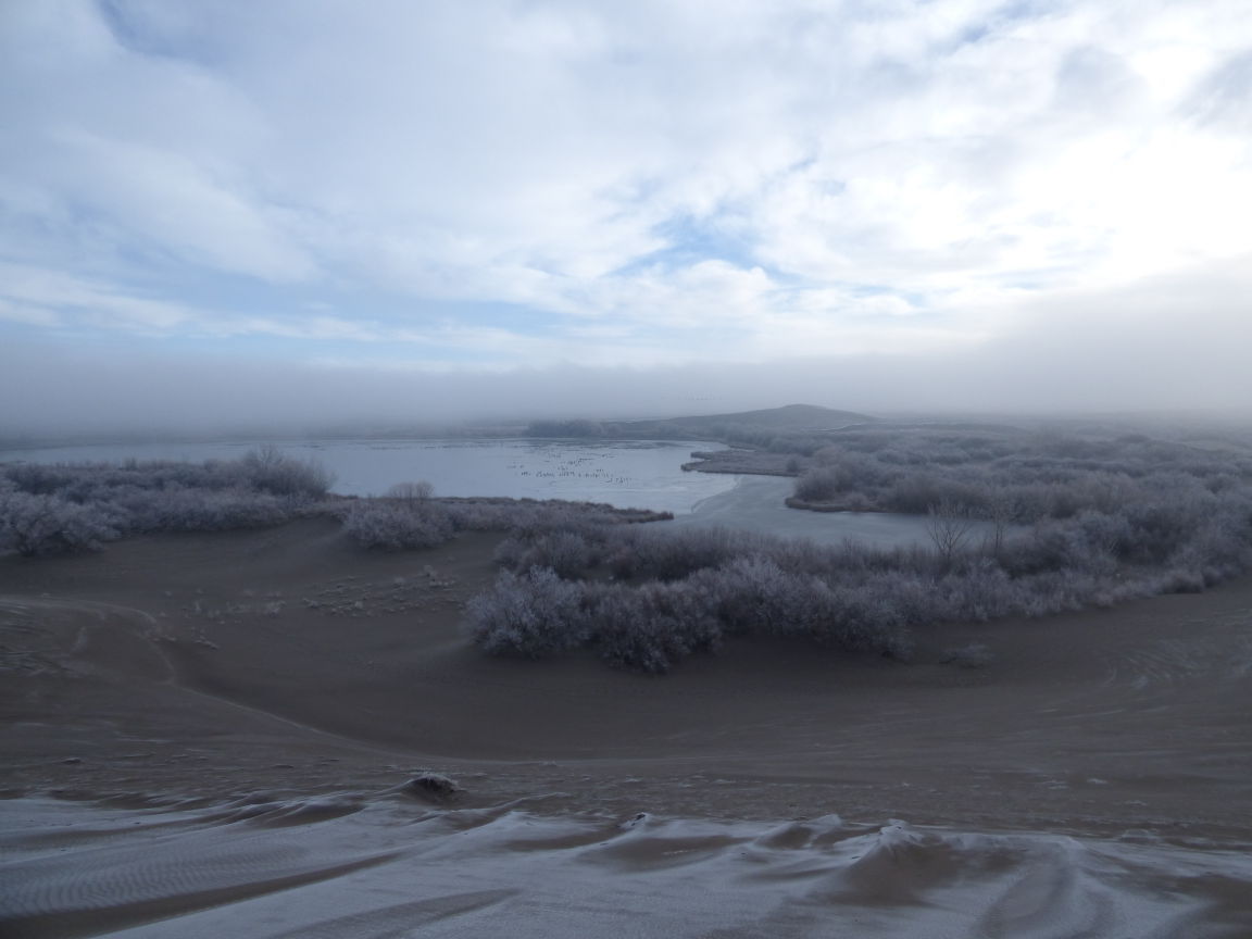 Bruneau Dunes